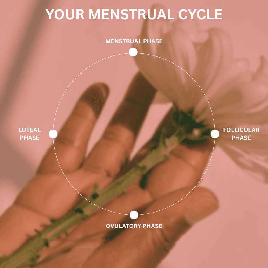 Cycle phase testing visualization